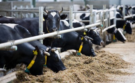 Tubo de acero para carpintería dirigido a aplicaciones estructurales - uso agrícola